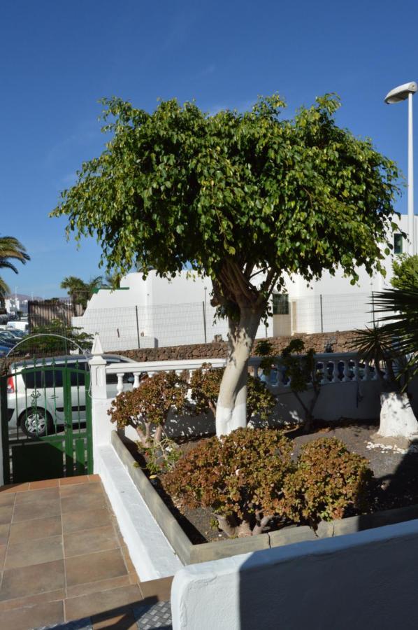 Lava Teneguia, 5 Guests In 2 Bedrooms Puerto del Carmen  Eksteriør bilde